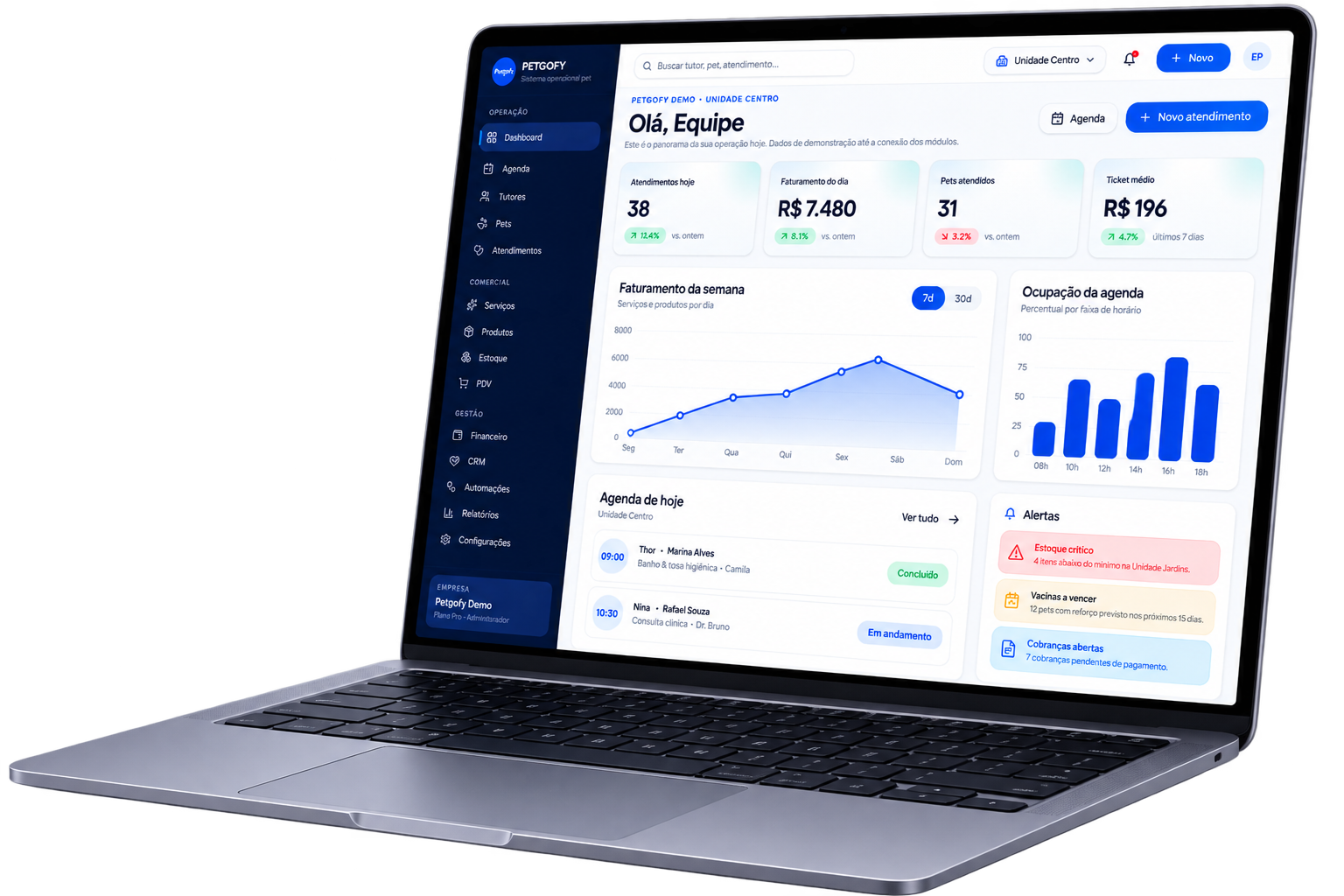 Dashboard da PETGOFY